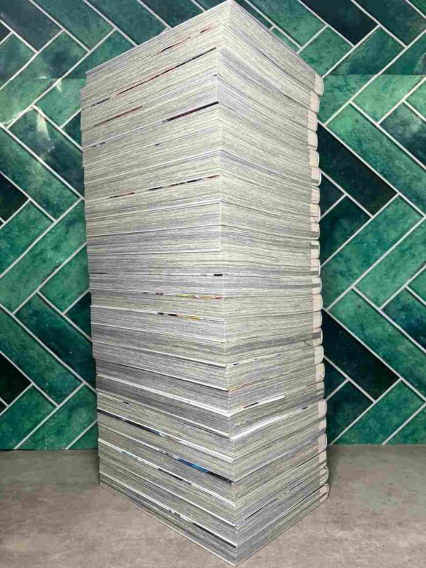 Valkyrie Apocalypse : Collection Complète - 24 Tomes ( 18 collector )