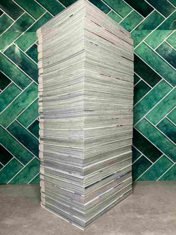 Valkyrie Apocalypse : Collection Complète - 24 Tomes ( 18 collector )