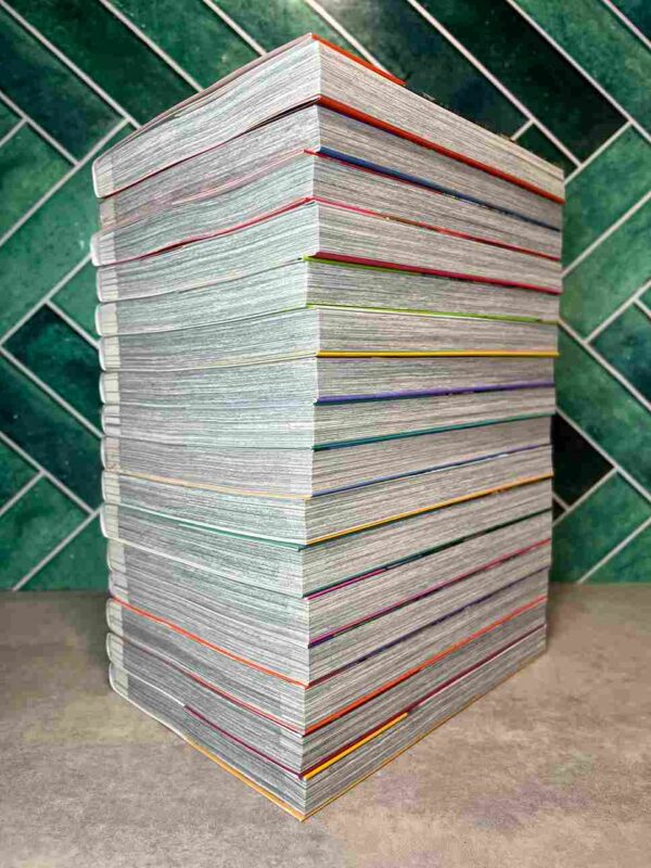 Villageois Lvl 999 : Collection Complète - 16  Tomes  ( Neuf )