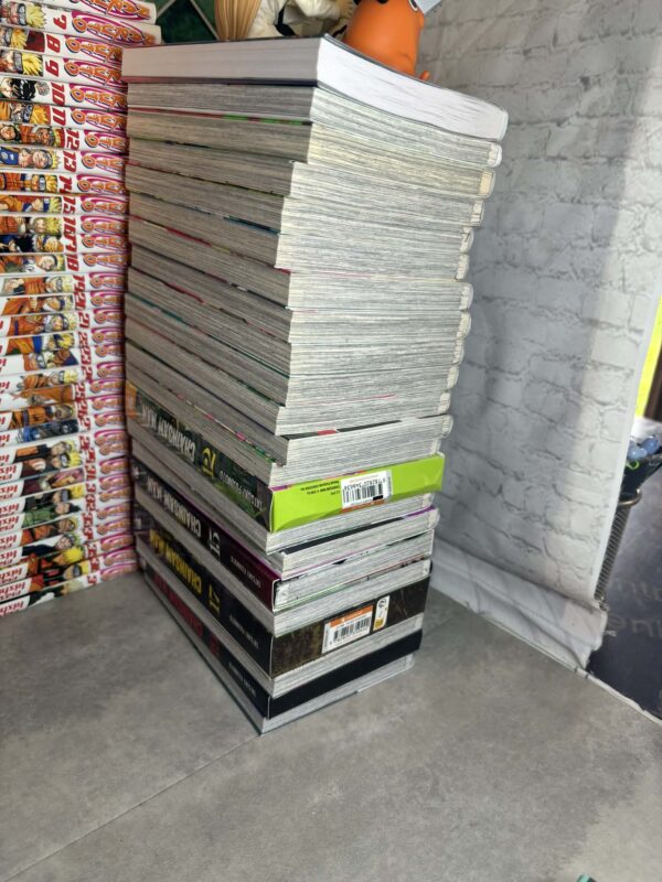 Chainsaw Man : Collection Complète - 22 Tomes (collector 12 15 16 17 18 et 19 ) + 2 hors series