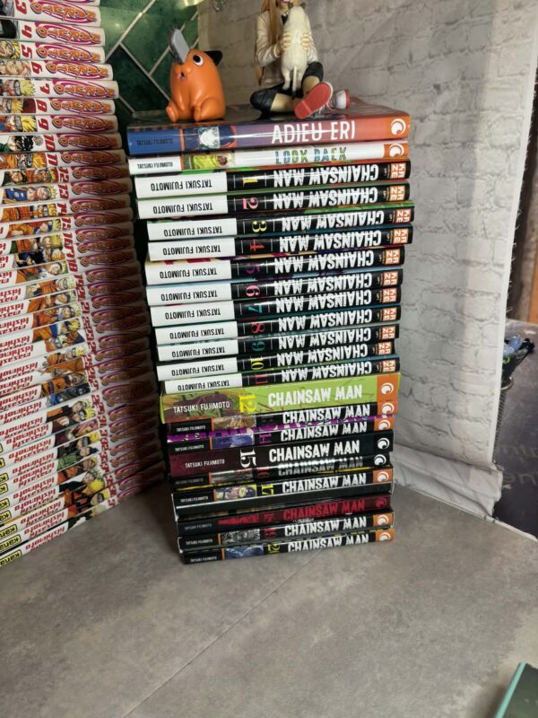 Pour rembourser ses dettes, Denji, jeune homme dans la dèche la plus totale, est exploité en tant que Devil Hunter avec son chien-démon-tronçonneuse