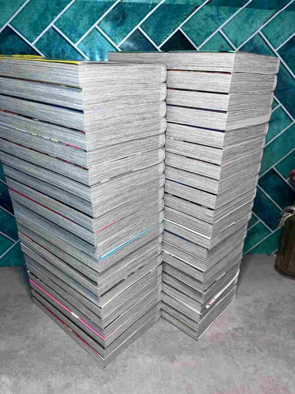 My Hero Academia : Collection Complète - 42 Tomes