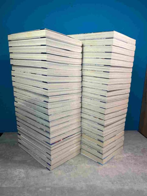 Seven Deadly Sins - Collection Complète : 44 Tomes ( 24 et 41 collector )