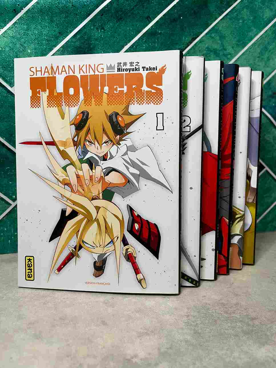 Alors que rien ne devait se passer durant les 500 ans suivants le dernier Shaman Fight, auquel Yoh et ses amis ont participé, un désaccord entre les dieux