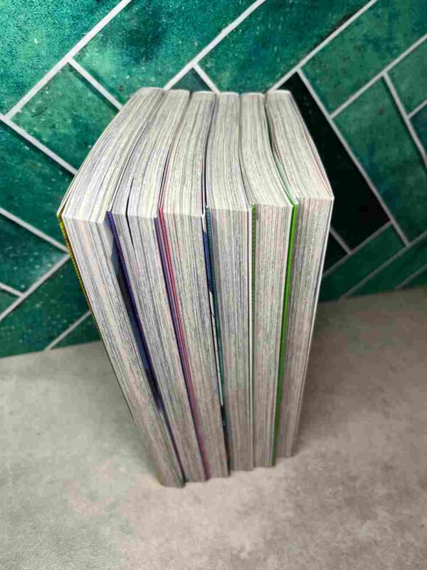 Shaman King Flowers - Collection Complète : 6 Tomes