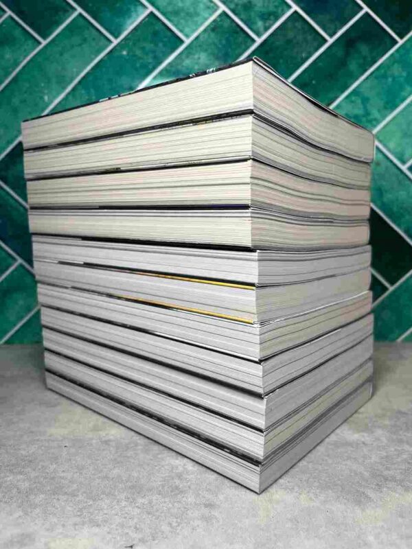 L'enfant et le Maudit : Collection Complète - 11 Tomes