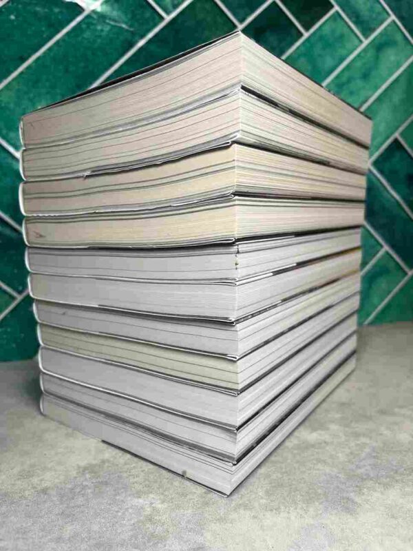 L'enfant et le Maudit : Collection Complète - 11 Tomes