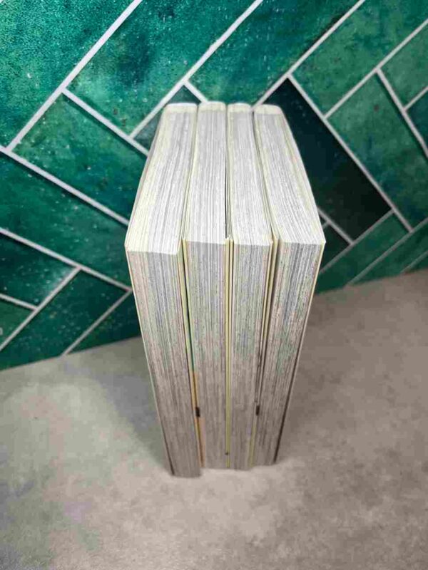 Chat De Yakuza : Collection Complète - 4 Tomes