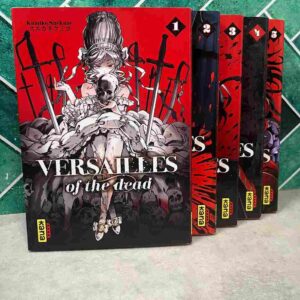 France, XVIIIe siècle, peu avant la Révolution. Marie-Antoinette, qui a été fiancée à Louis XVI doit devenir la prochaine Reine. Mais sur la route qui la