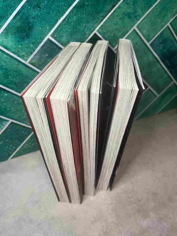 Purgatory Girl - Collection Complète : 4 tomes