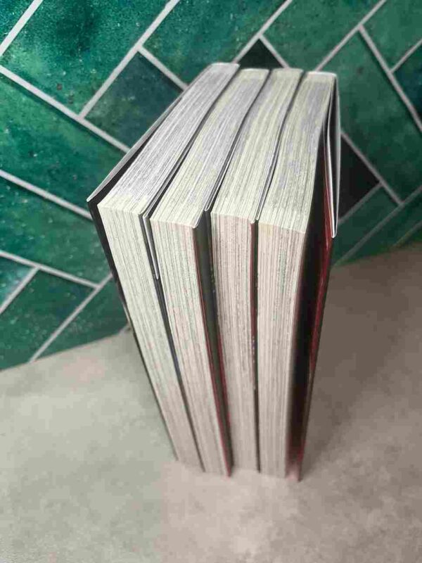 Purgatory Girl - Collection Complète : 4 tomes