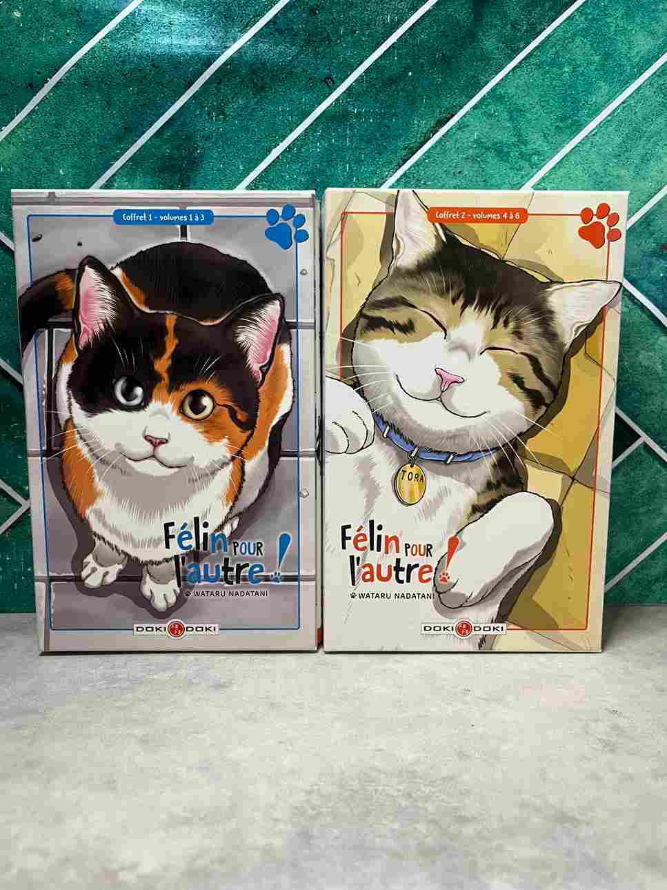 Kensuke Fuji vit un drame... Il adore les chats, mais ces derniers ne le calculent pas ! Ses soeurs y étant allergiques, le lycéen n'a jamais eu la chance