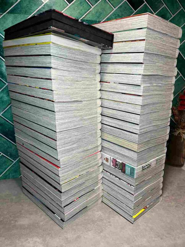 My Hero Academia : Collection Complète - 42 Tomes ( Coffrets 36 collector +2 hors serie )