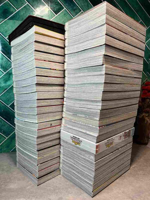 My Hero Academia : Collection Complète - 42 Tomes ( Coffrets 36 collector +2 hors serie )