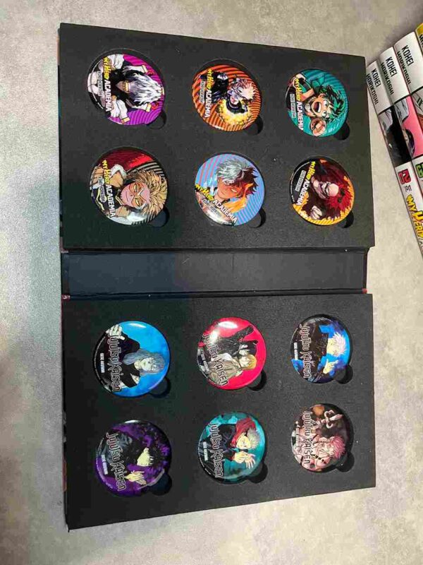 My Hero Academia : Collection Complète - 42 Tomes ( Coffrets 36 collector +2 hors serie )