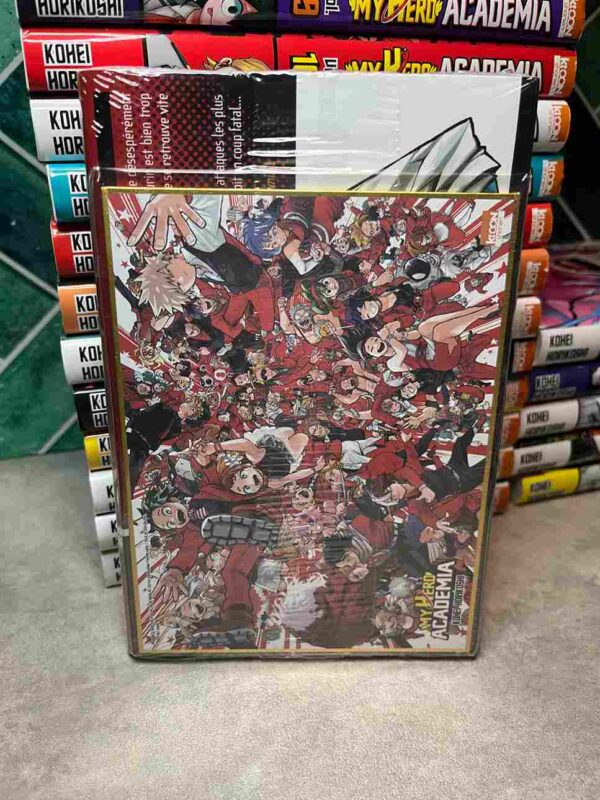 My Hero Academia : Collection Complète - 42 Tomes ( Coffrets 36 collector +2 hors serie )