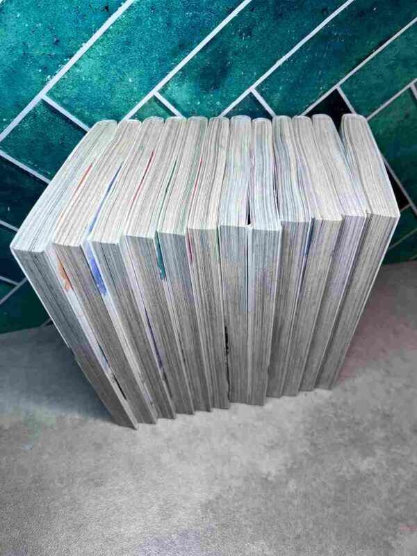 Perfect World  : Collection Complète - 12 Tomes