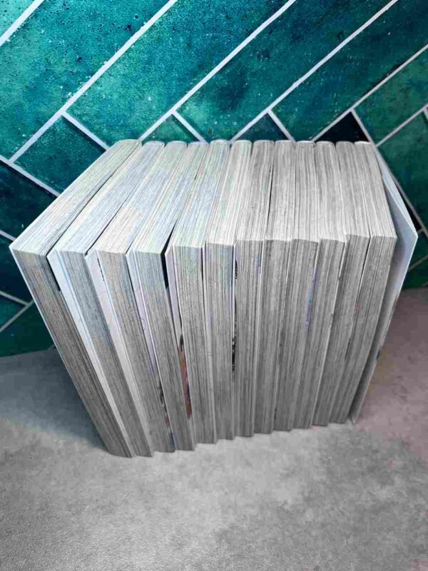 Perfect World  : Collection Complète - 12 Tomes