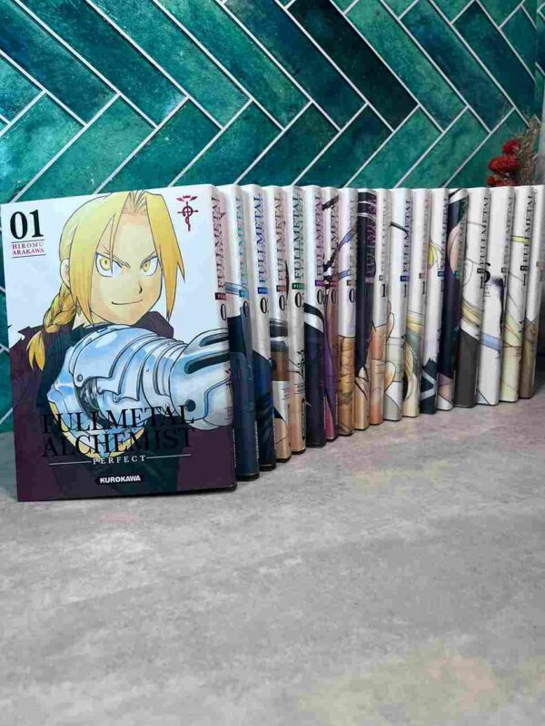 En voulant ressusciter leur mère Edward et Alphonse Elric vont utiliser une technique interdite relevant du domaine de l'alchimie : la transmutation humaine