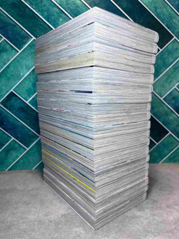 Black Prince & White Prince : Collection Complète - 19 Tomes