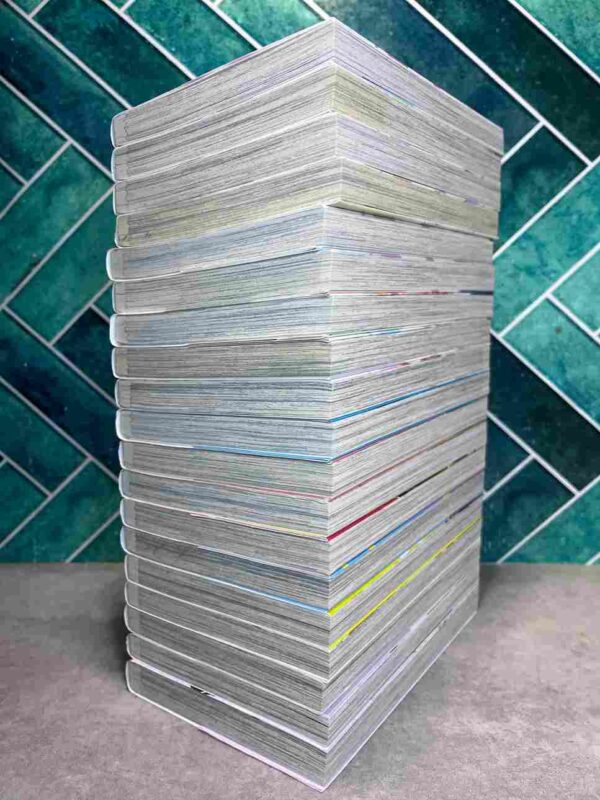 Black Prince & White Prince : Collection Complète - 19 Tomes