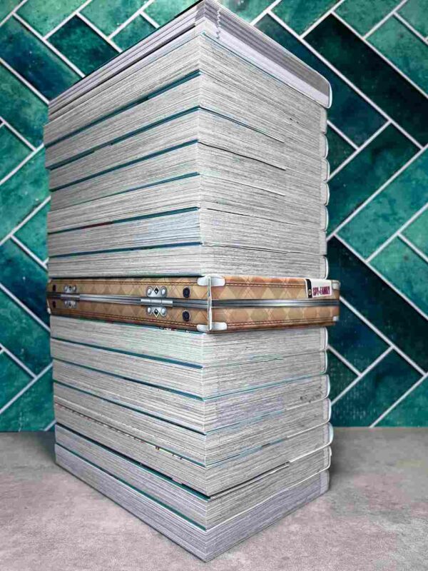 Spy X Family : Collection Complète - 16 Tomes ( Collector 8 et 13 )