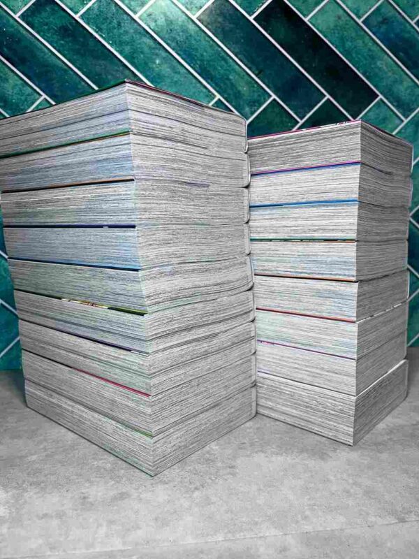 Shaman King - Star Edition : Collection Complète 17 Tomes