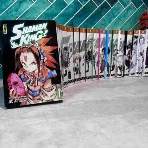 Les shamans ont le pouvoir de communiquer avec les esprits. Yoh brigue le titre de "Shaman king'. Aidé par ses amis et par Amidamaru, un esprit samouraï
