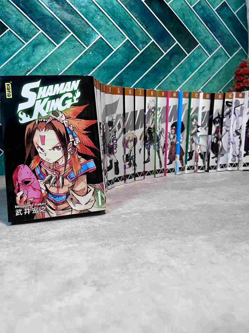 Les shamans ont le pouvoir de communiquer avec les esprits. Yoh brigue le titre de "Shaman king'. Aidé par ses amis et par Amidamaru, un esprit samouraï