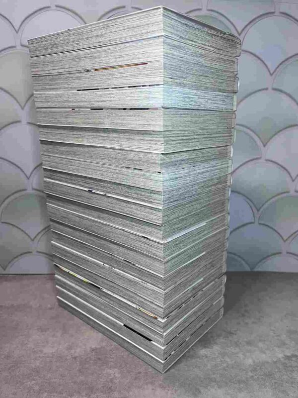 Fairy Tail / 100 Years Quest : Collection Complète - 21 Tomes