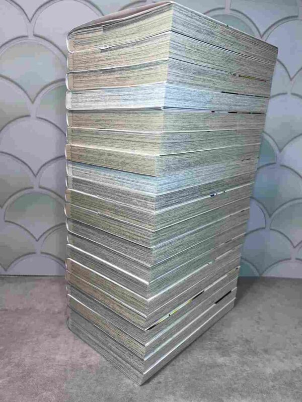 Fairy Tail / 100 Years Quest : Collection Complète - 21 Tomes