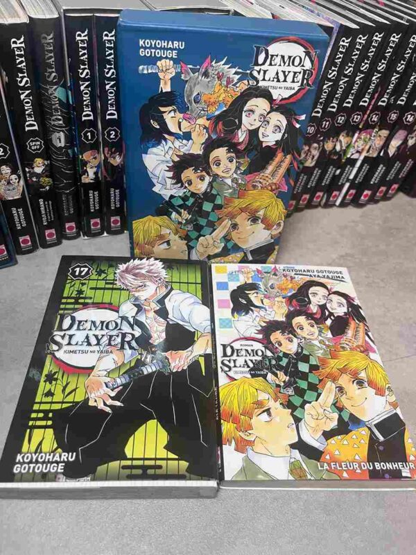 Demon Slayer  : Collection Complète - 25 Tomes ( 4 coffrets collectors + illustration - etc )