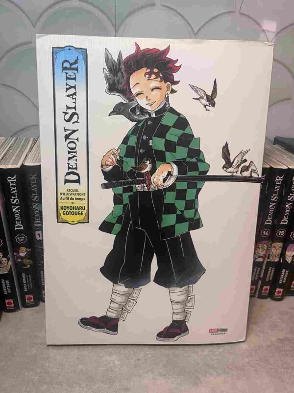 Demon Slayer  : Collection Complète - 25 Tomes ( 4 coffrets collectors + illustration - etc )
