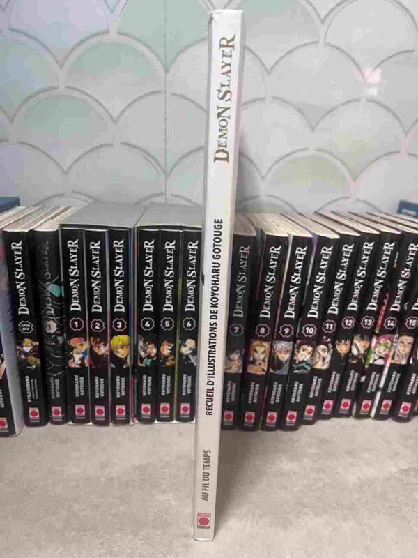 Demon Slayer  : Collection Complète - 25 Tomes ( 4 coffrets collectors + illustration - etc )