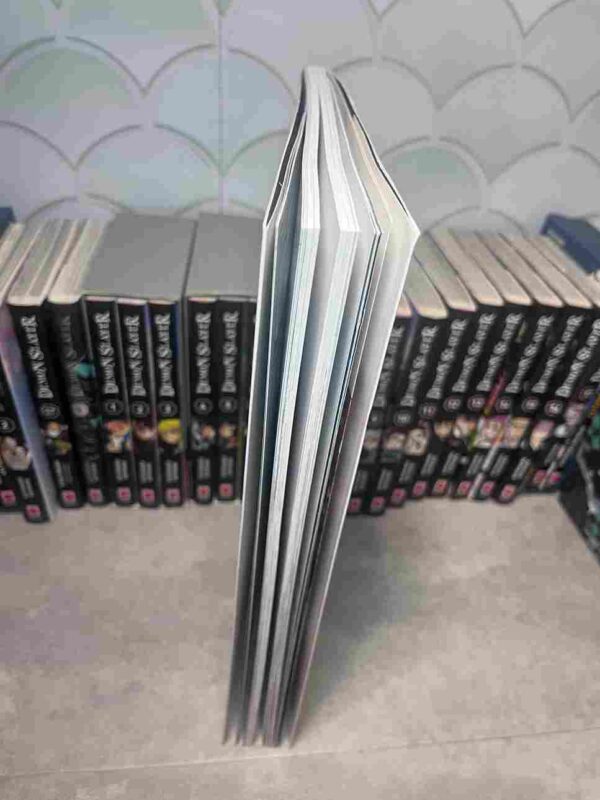 Demon Slayer  : Collection Complète - 25 Tomes ( 4 coffrets collectors + illustration - etc )