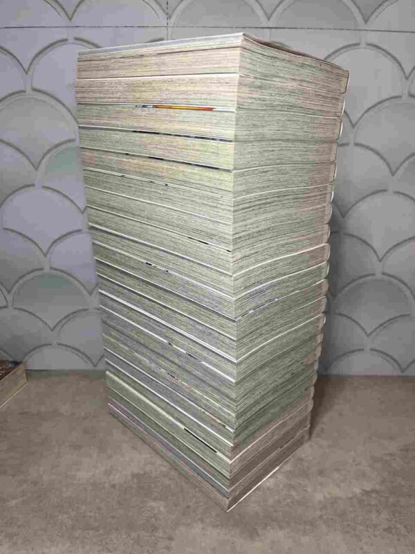 Fairy Tail / 100 Years Quest : Collection Complète - 21 Tomes ( 20 collector )