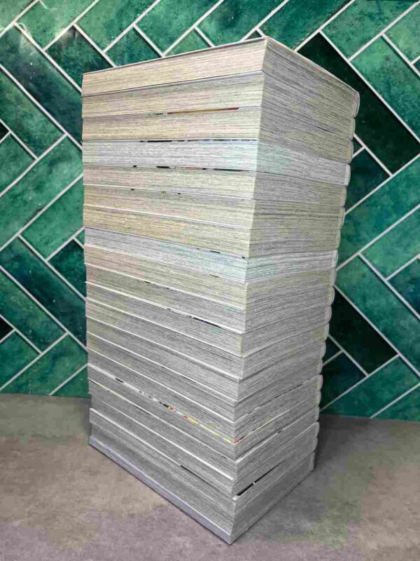 Fairy Tail / 100 Years Quest : Collection Complète - 20 Tomes ( Tome 20 collector neuf )