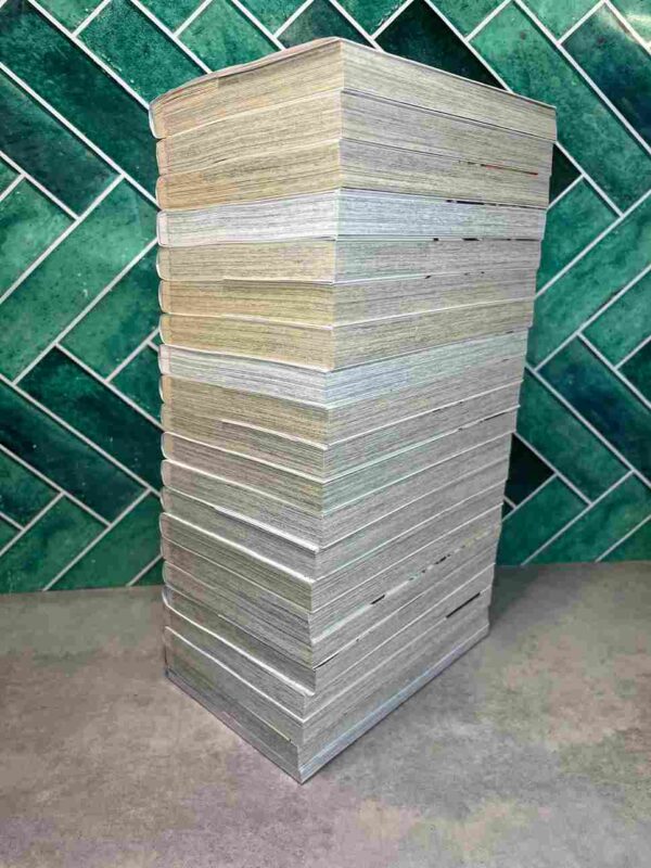 Fairy Tail / 100 Years Quest : Collection Complète - 20 Tomes ( Tome 20 collector neuf )