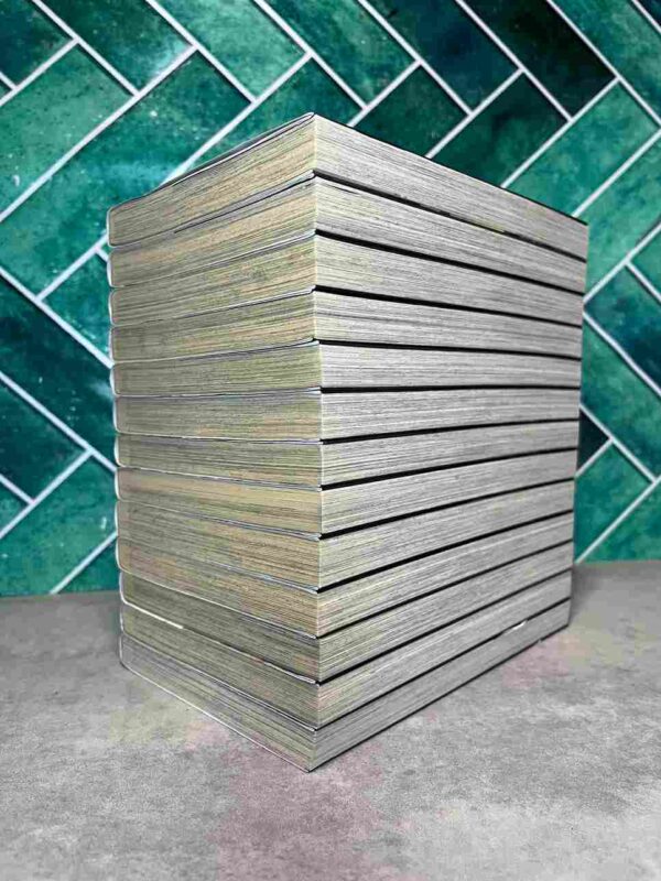 He is a Beast  : Collection complète - 13 Tomes