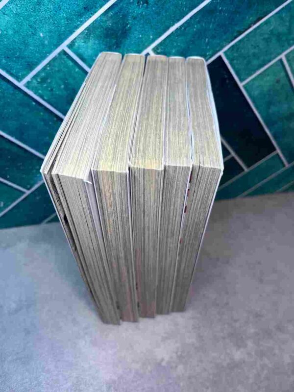 Banya - Hell's Angel Delivery Man : Collection Complète -5 Tomes