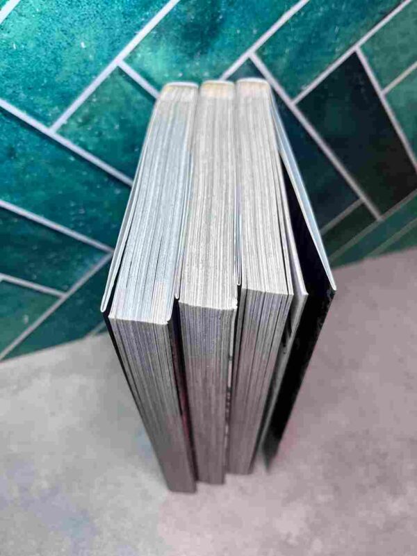 Devil Inside   - Collection complète  : 3 Tomes