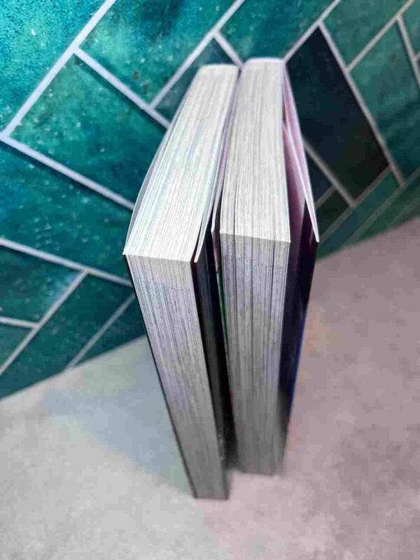 300 Jours Avec Toi : Collection Complète - 2 Tomes