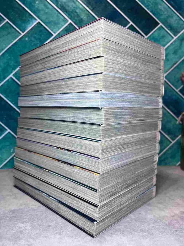 Saru Lock  : Tomes  1 a 13