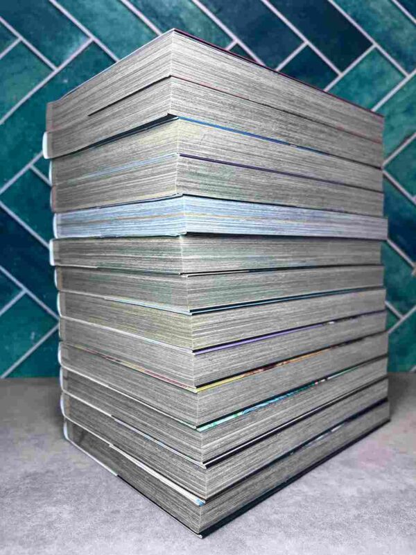 Saru Lock  : Tomes  1 a 13