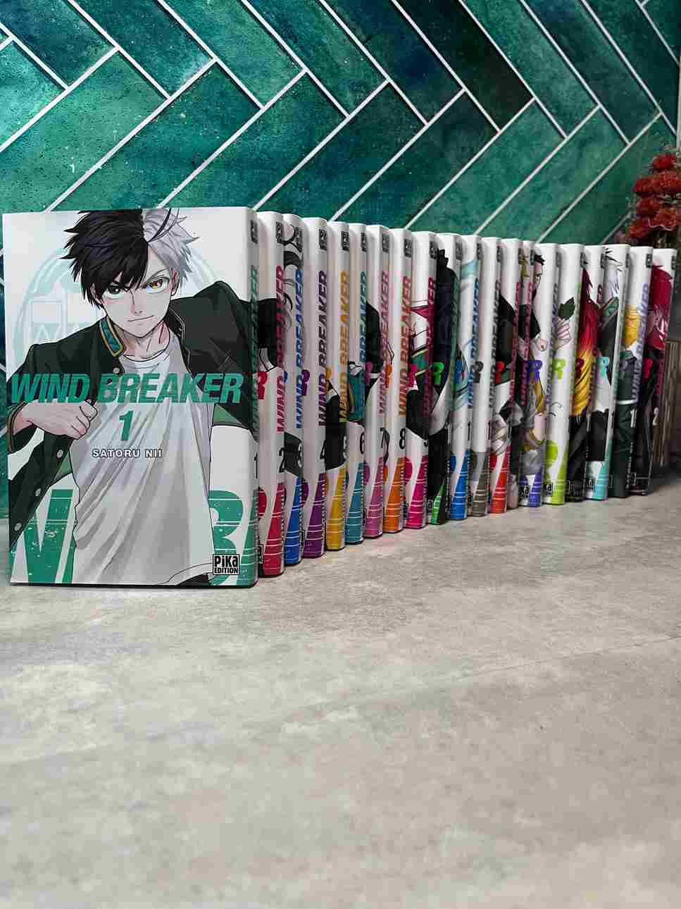 Haruka Sakura est le genre de lycéen qui fait passer la baston avant les révisions. Fraîchement débarqué en ville, c'est donc le sourire aux lèvres qu'il