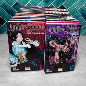 Chaque année au Japon, on recense plus de 10 000 morts inexpliquées et portés disparus.Dans la majorité des cas, ce sont les sentiments négatifs des êtres