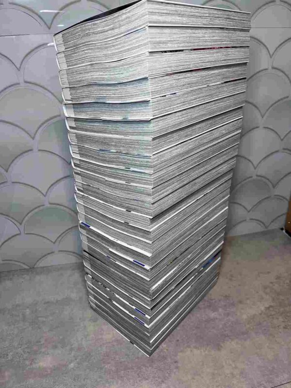 Valkyrie Apocalypse : Collection Complète - 25 Tomes ( Neuf )