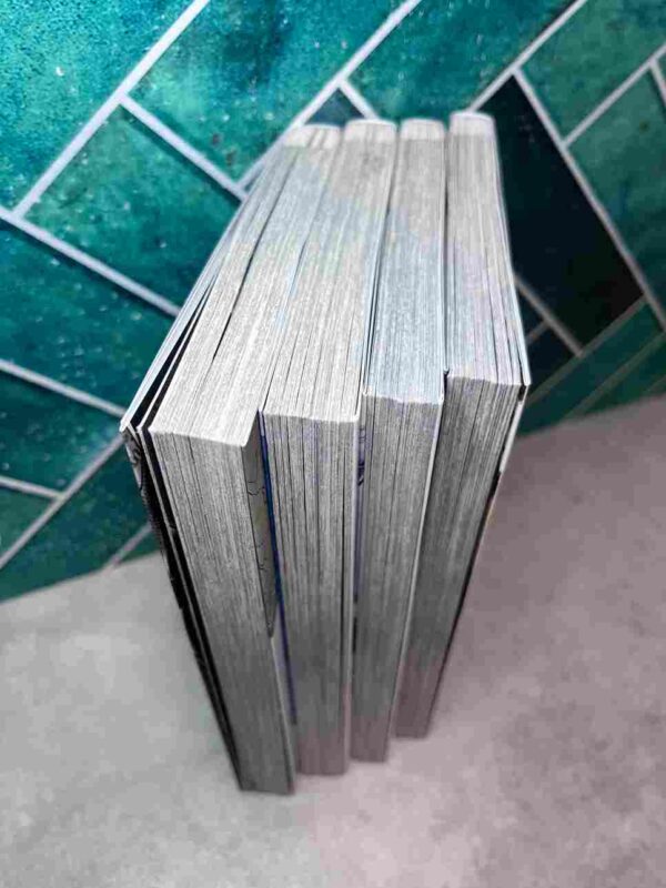 Tengen Hero Wars : Collection Complète  - 4 Tomes