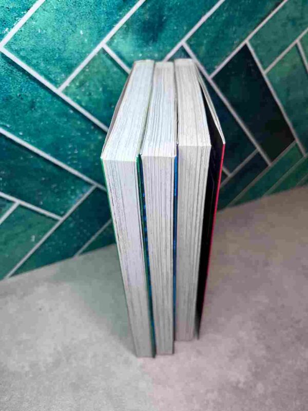 Gunsmith Cats - Burst : Tomes 1 a 3