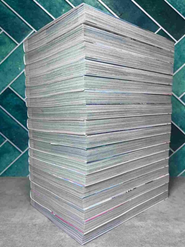 A Fantazy Lazy Life  : Collection Complète - 17 tomes